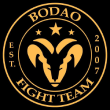 Bodao team